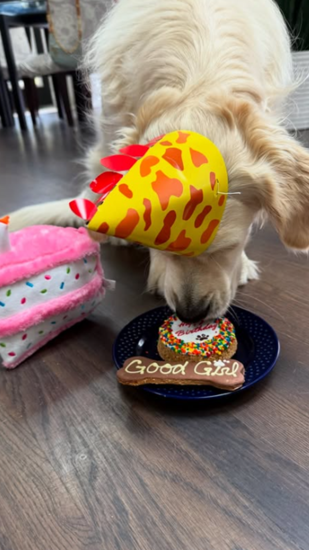 Olivia Dunne celebrates her 'baby's' birthday with tender displays of love and Paul Skenes joins the party