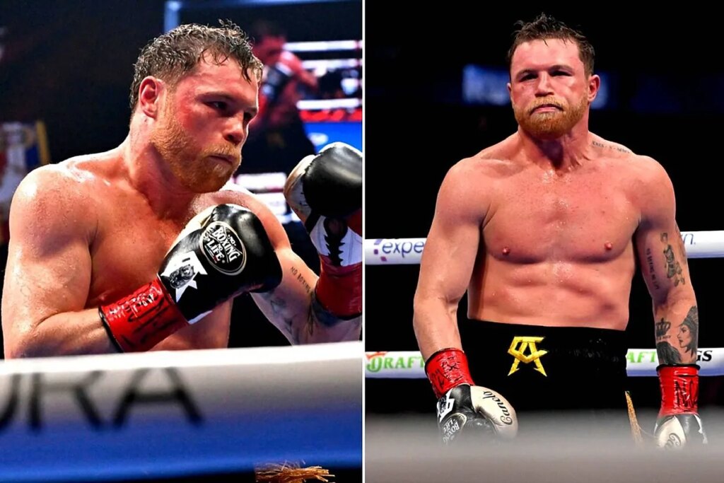 Canelo Alvarez to undergo surgery: How long will he be out of boxing after elbow surgery?