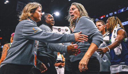 Lynx coach Cheryl Reeve Will Miss Elimination Game After Being Suspended