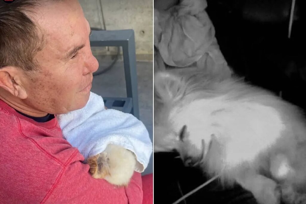 Bad news continues for Julio Cesar Chavez, while he is still in recovery