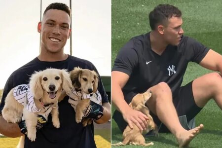 Aaron Judge’s dogs go viral for hilarious costume: “They have a better life than us”
