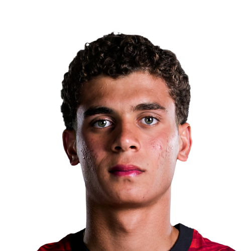 Hamza Abdelkarim