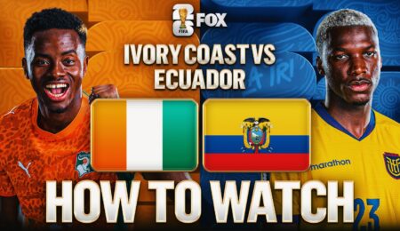 Ivory Coast vs. Ecuador: How to Watch, TV Channel, Live Stream
